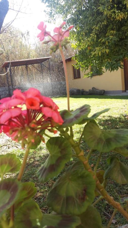 Hotel Mamaku Huasi Cafayate Exteriér fotografie