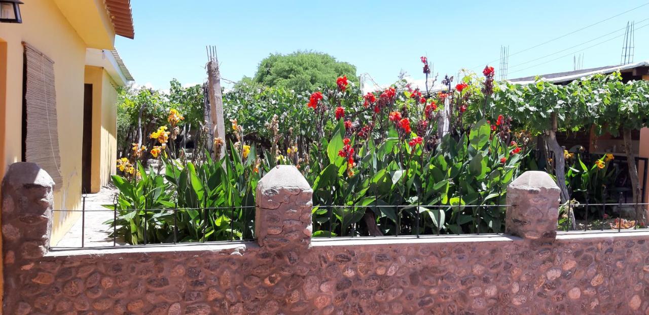 Hotel Mamaku Huasi Cafayate Exteriér fotografie